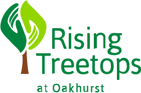 rising-treetops